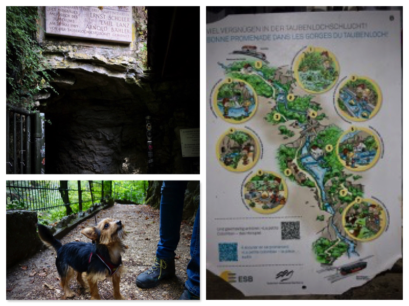 2020 Bulli Tour Schweiz 2_3.jpeg