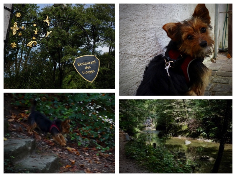 2020 Bulli Tour Schweiz 2_7.jpeg