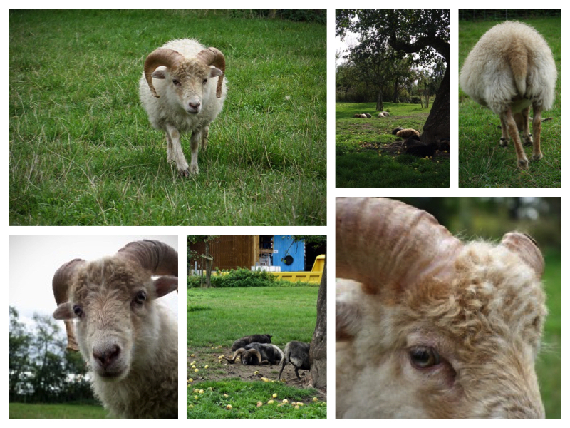 2020 Bulli Tour Schweiz 2_10.jpeg