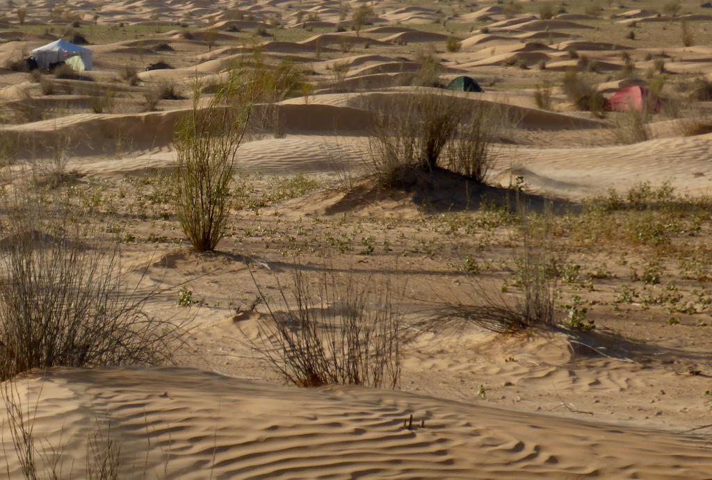 2017 Tunesien 2_3.jpeg