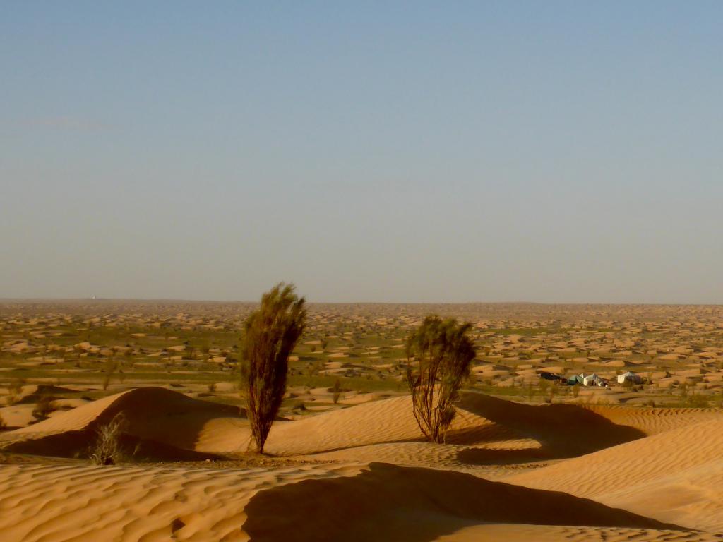 2017 Tunesien 2_5.jpeg