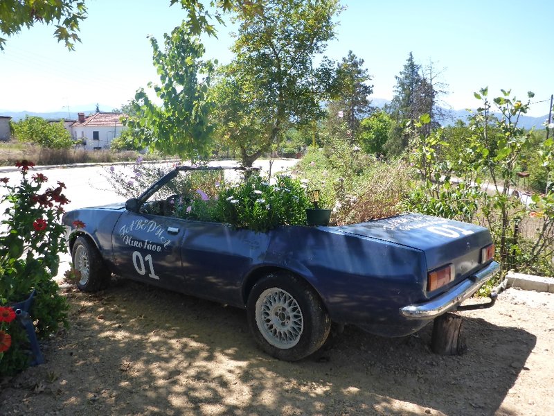P1020149.JPG