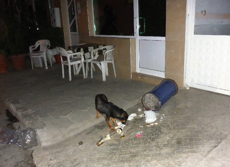 P1020182.JPG