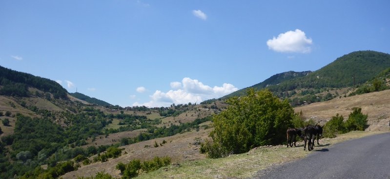 P1020271.JPG