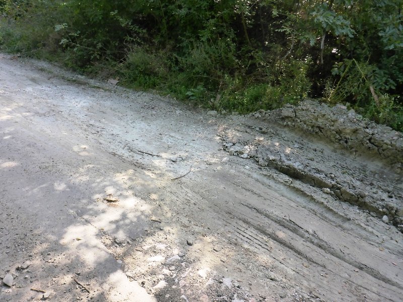 P1020304.JPG