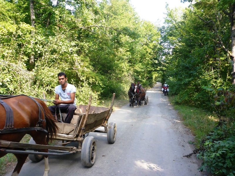 P1020308.JPG