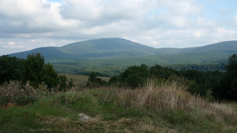 P9022866.JPG