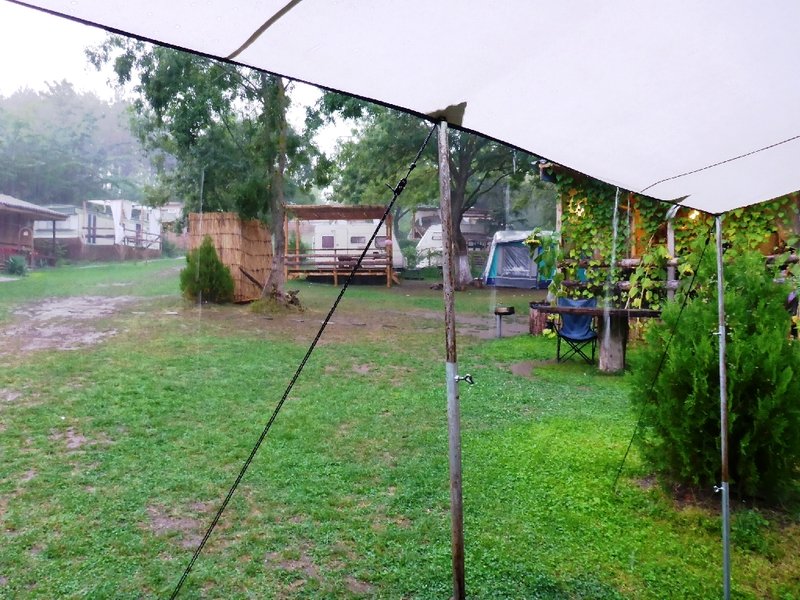 P1020329.JPG