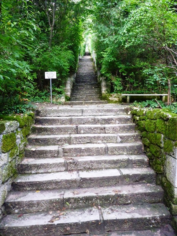 P1020346.JPG