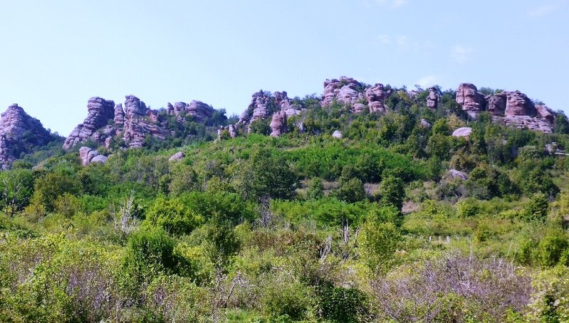 P1020420.JPG