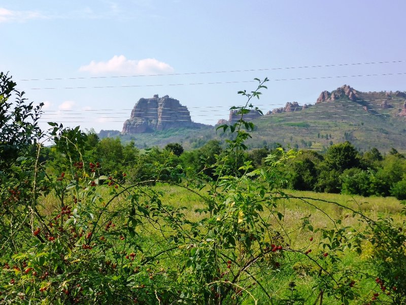 P1020423.JPG
