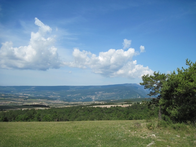 comp_IMG_0606.jpg