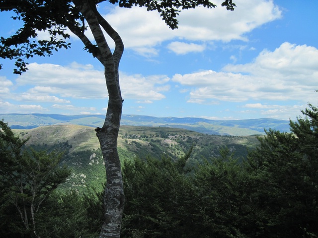 comp_IMG_0633.jpg