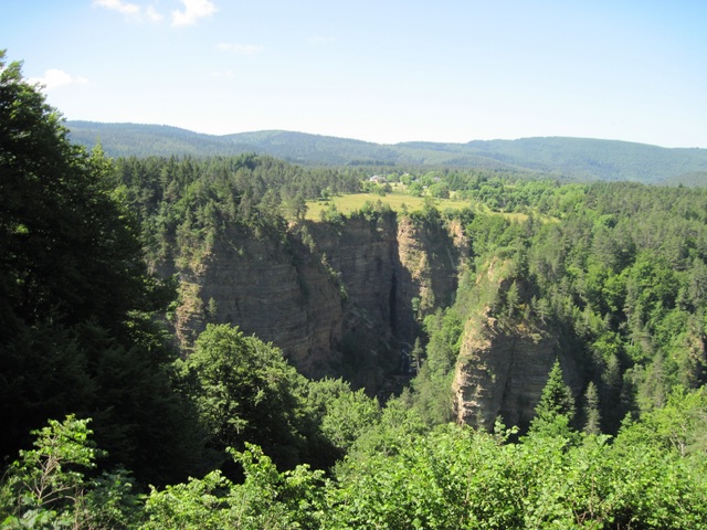 comp_IMG_0651.jpg