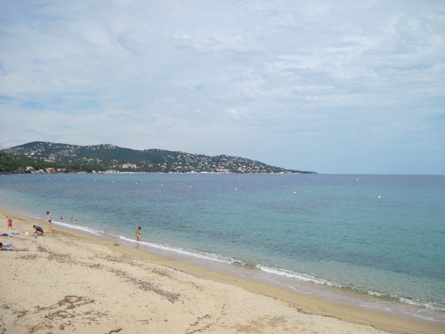 comp_IMG_0686.jpg