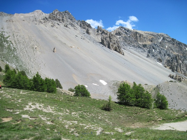 comp_IMG_0744.jpg