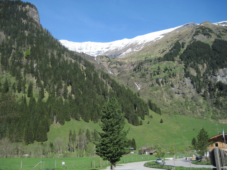 IMG_5519.JPG