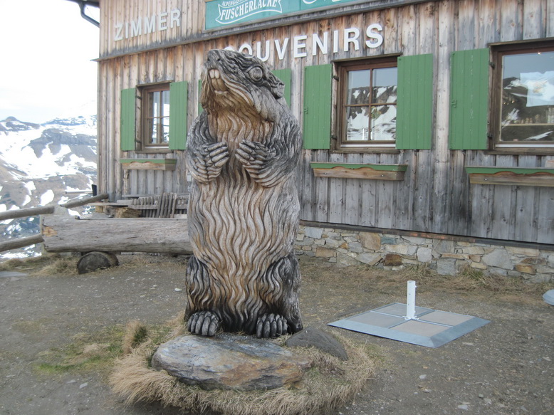 IMG_5534.JPG