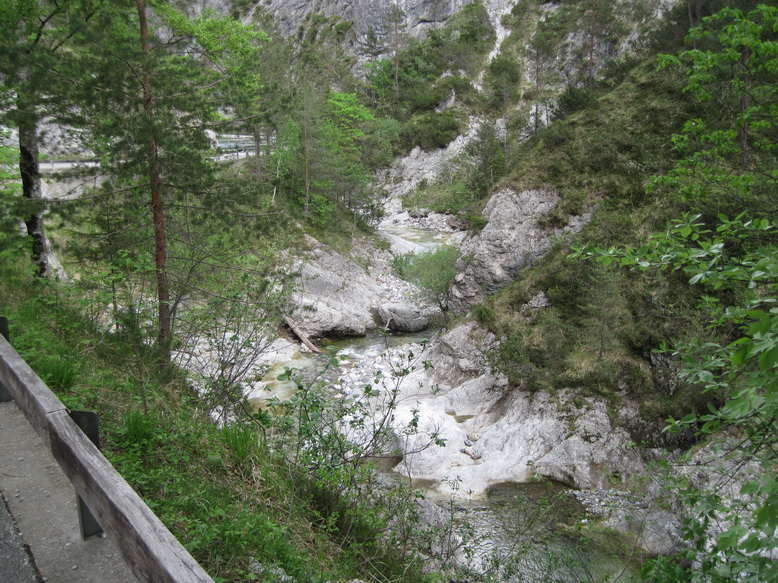 IMG_5568.JPG