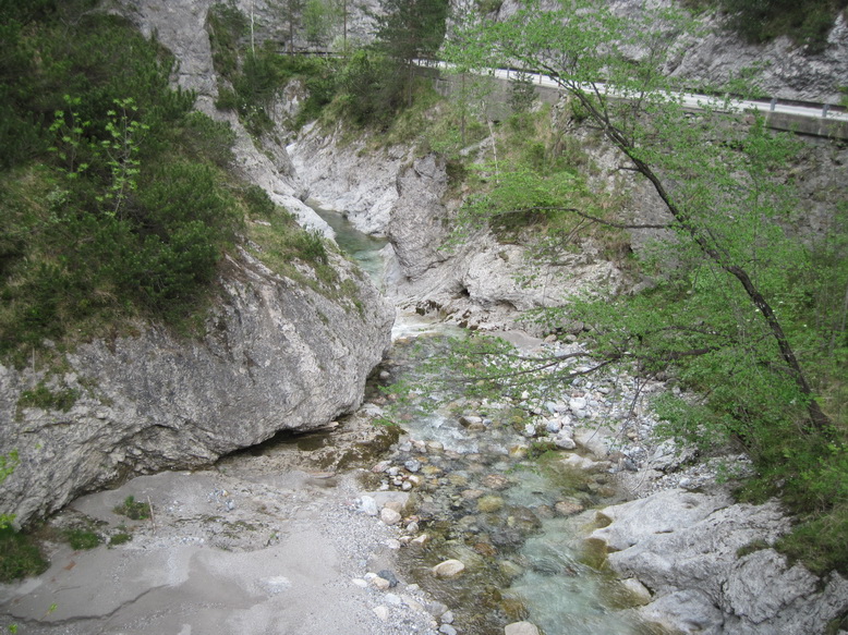 IMG_5570.JPG