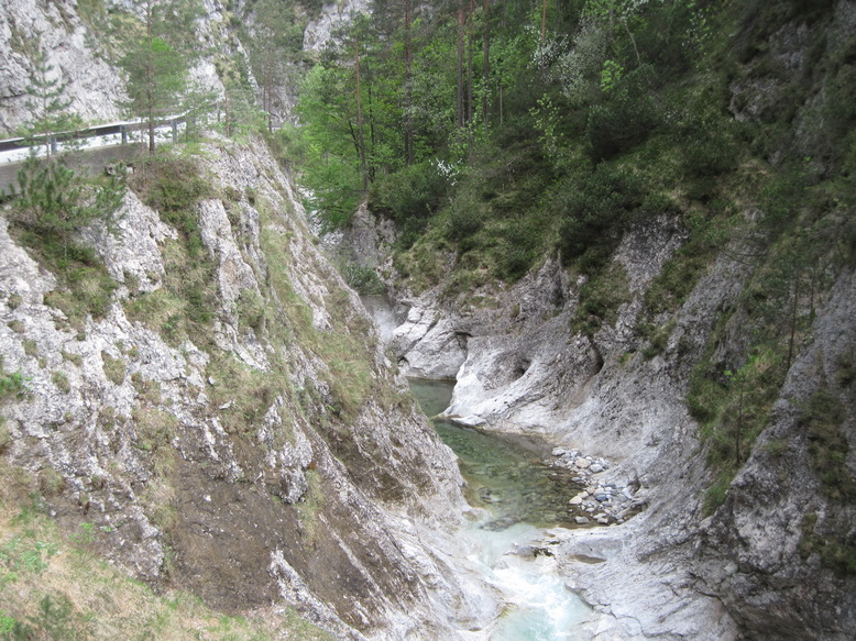 IMG_5571.JPG