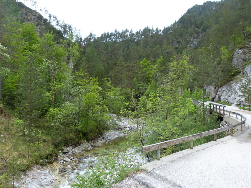P1090734.JPG