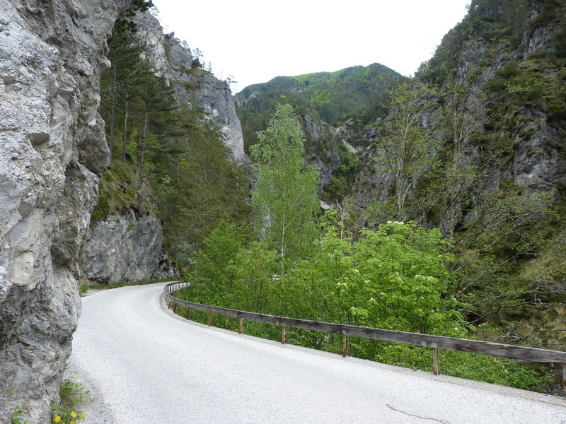 P1090735.JPG