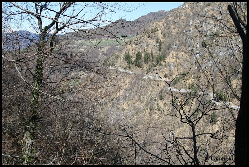 IMG_0080kompr.jpg