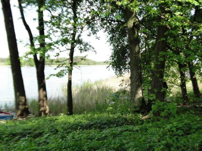 Compressed_0027.jpg
