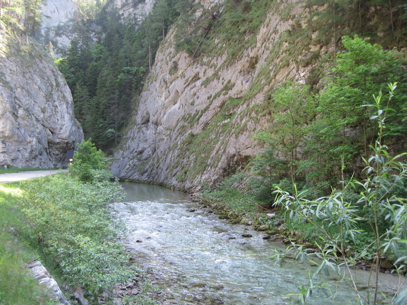 IMG_5608.JPG