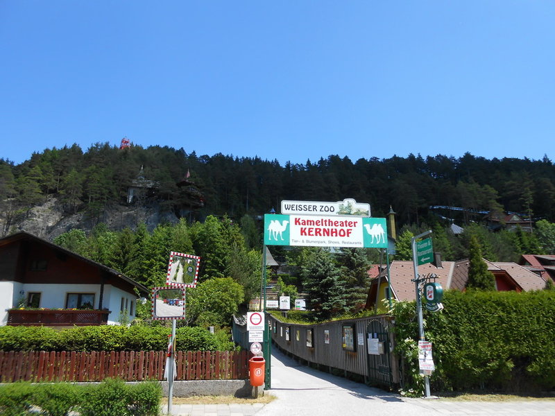DSCN3499.JPG