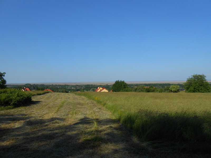 DSCN3507.JPG