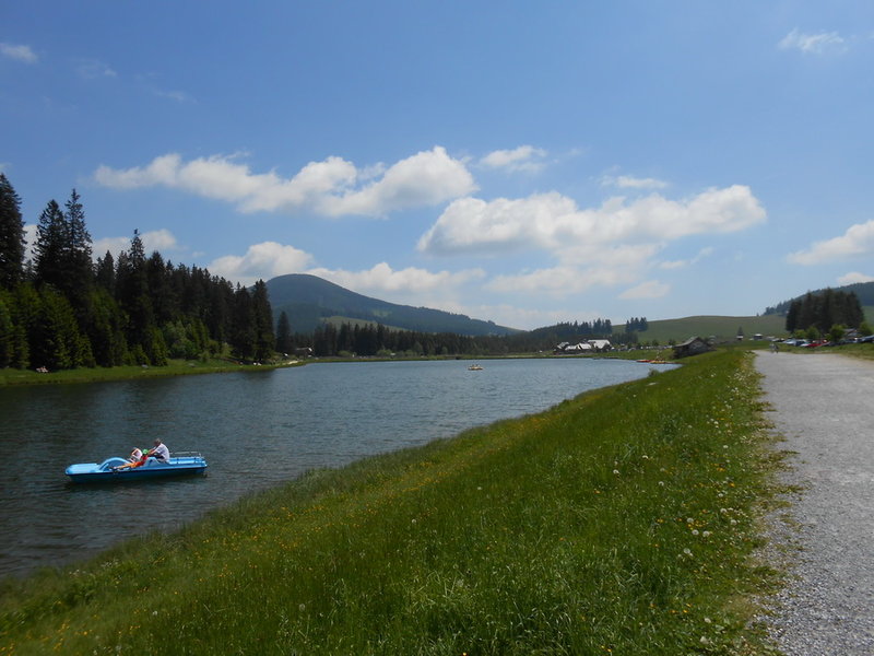 DSCN3542.JPG