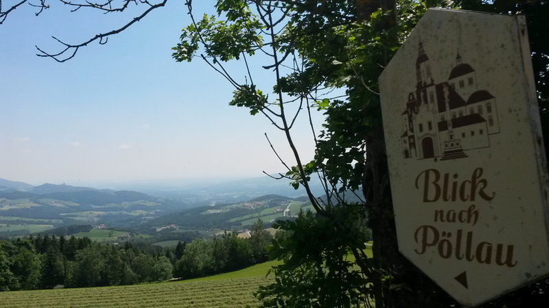 20150605_133339.jpg