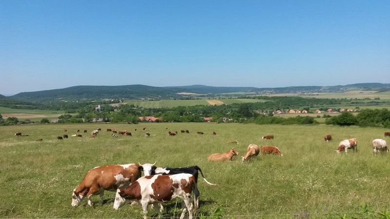 20150606_104952.jpg