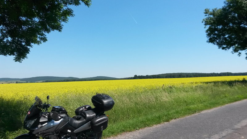 20150606_132447.jpg