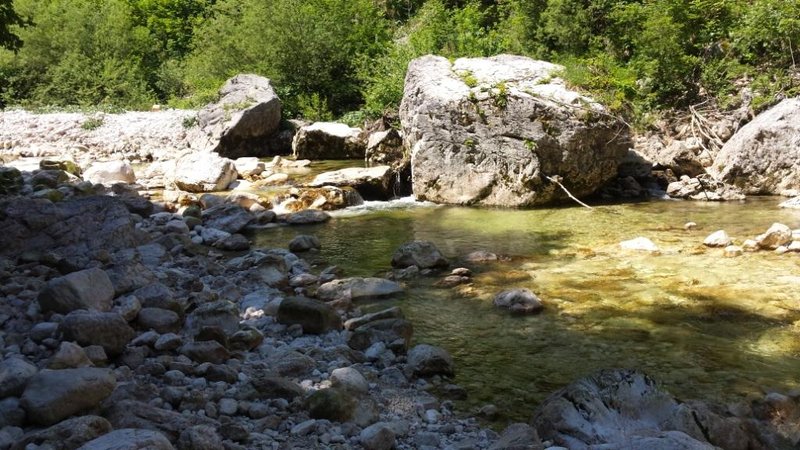 20150604_134437.jpg