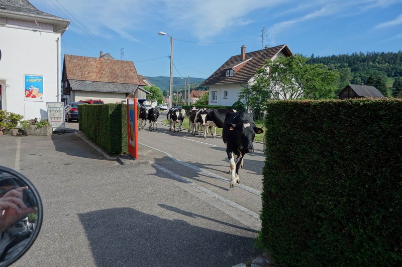 GrößenänderungDSC02244.JPG