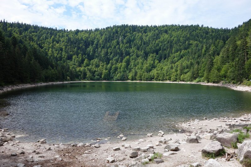 GrößenänderungDSC02248.JPG