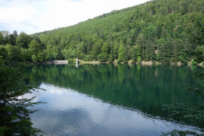 GrößenänderungDSC02279.JPG