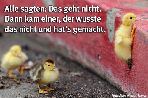 alle sagten es geht nicht.jpg