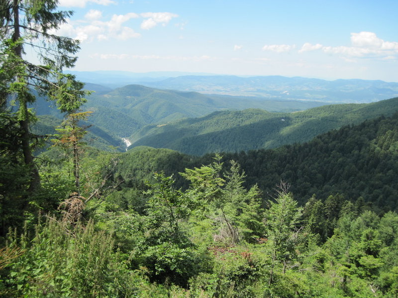 Aus dem Tal da unten bin ich gekommen