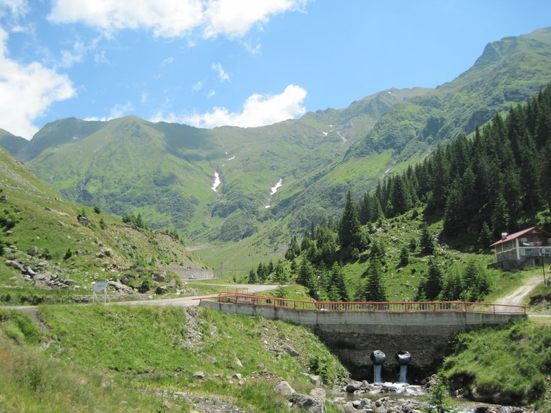 IMG_5951.JPG