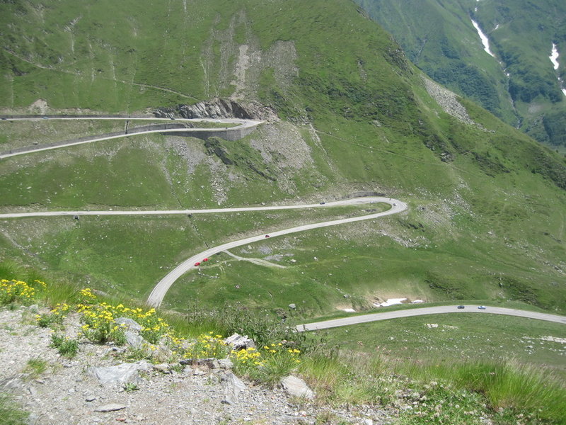 IMG_5964.JPG