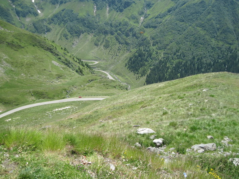 IMG_5965.JPG