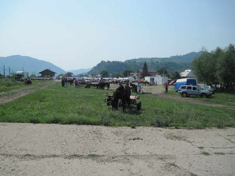 IMG_6046.JPG (220.22 KiB) 2922 mal betrachtet Zwischen Targu Ocna und Comanesti großer Getreidemarkt