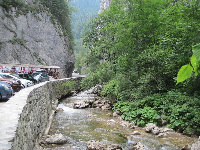 IMG_6063.JPG