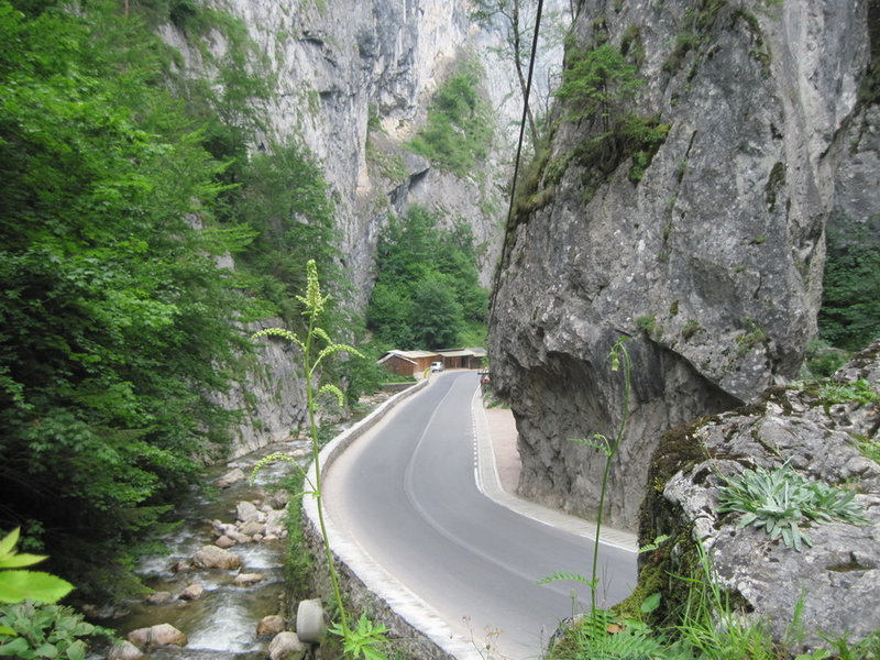 IMG_6070.JPG