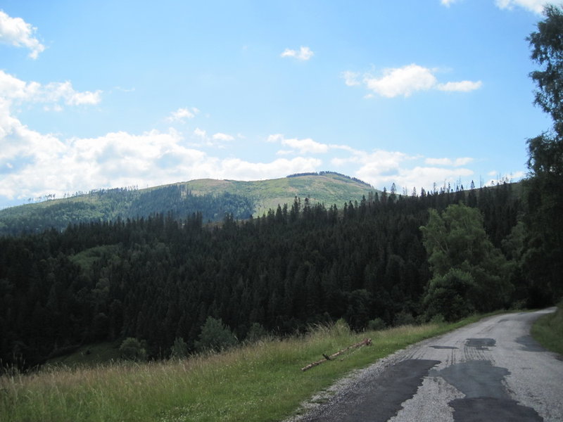 IMG_6133.JPG