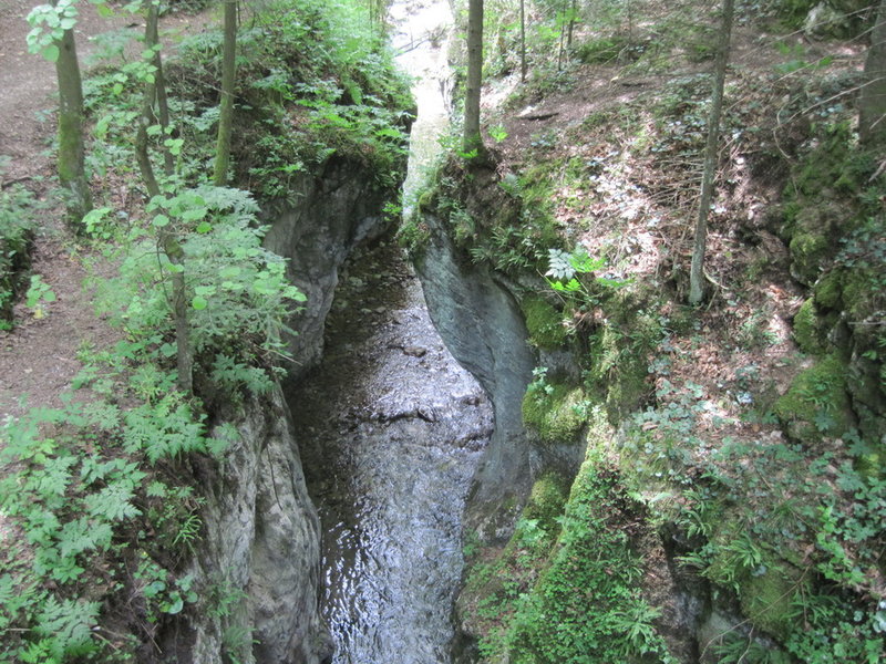IMG_6169.JPG
